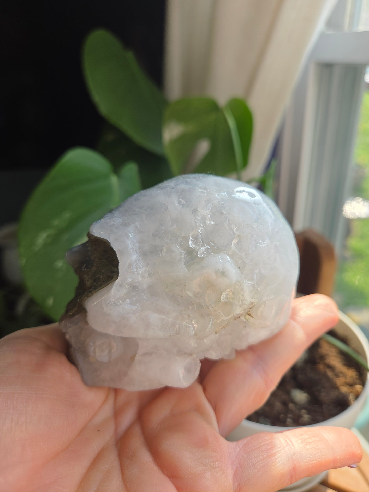 Moss Skull