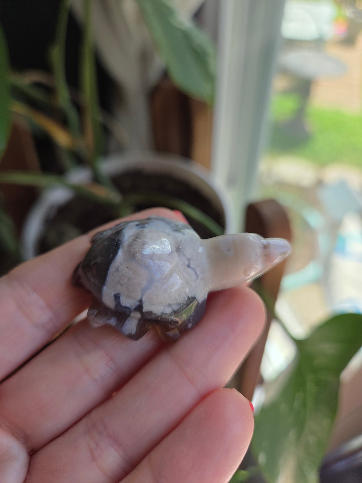 Black Flower Agate Turtle