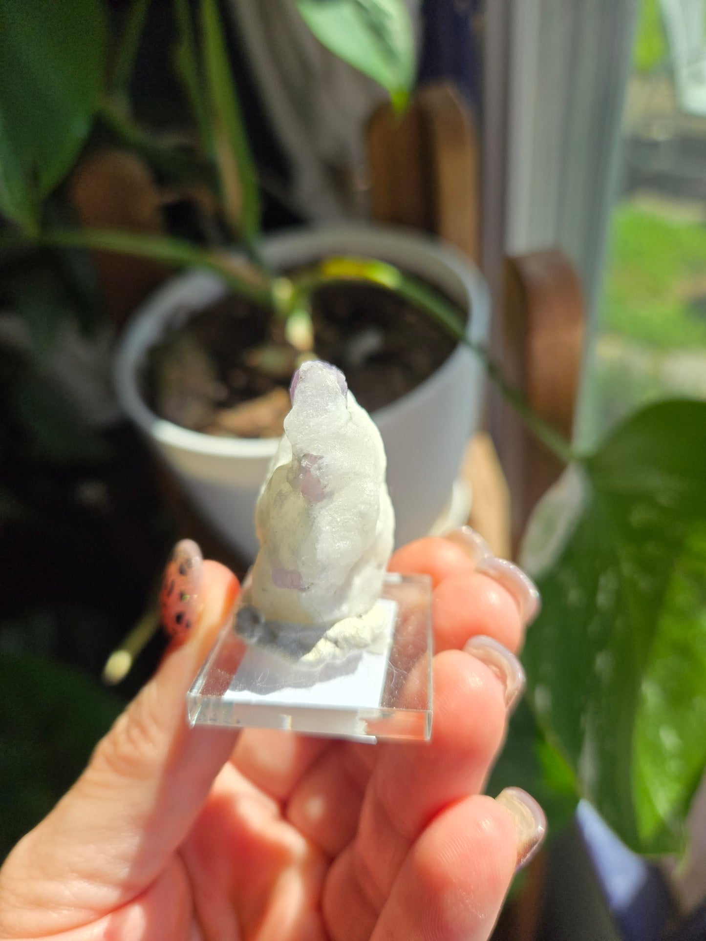 Scapolite on Calcite