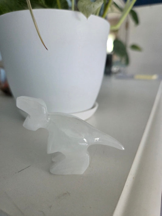 Dino (onyx)(O)