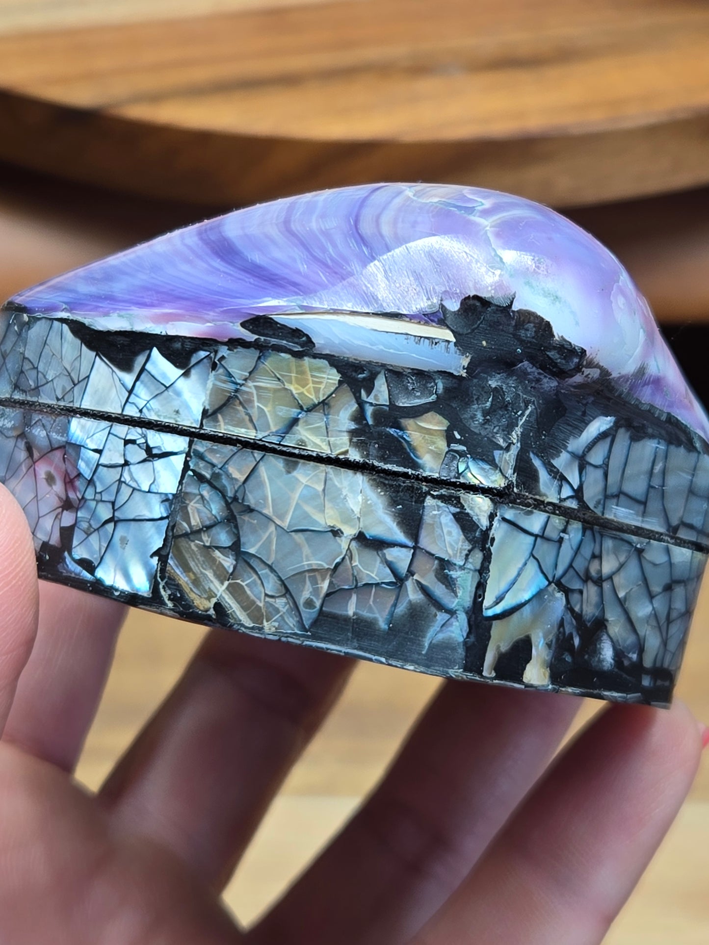 Purple Shell / Abalone Shell 🐚 Box