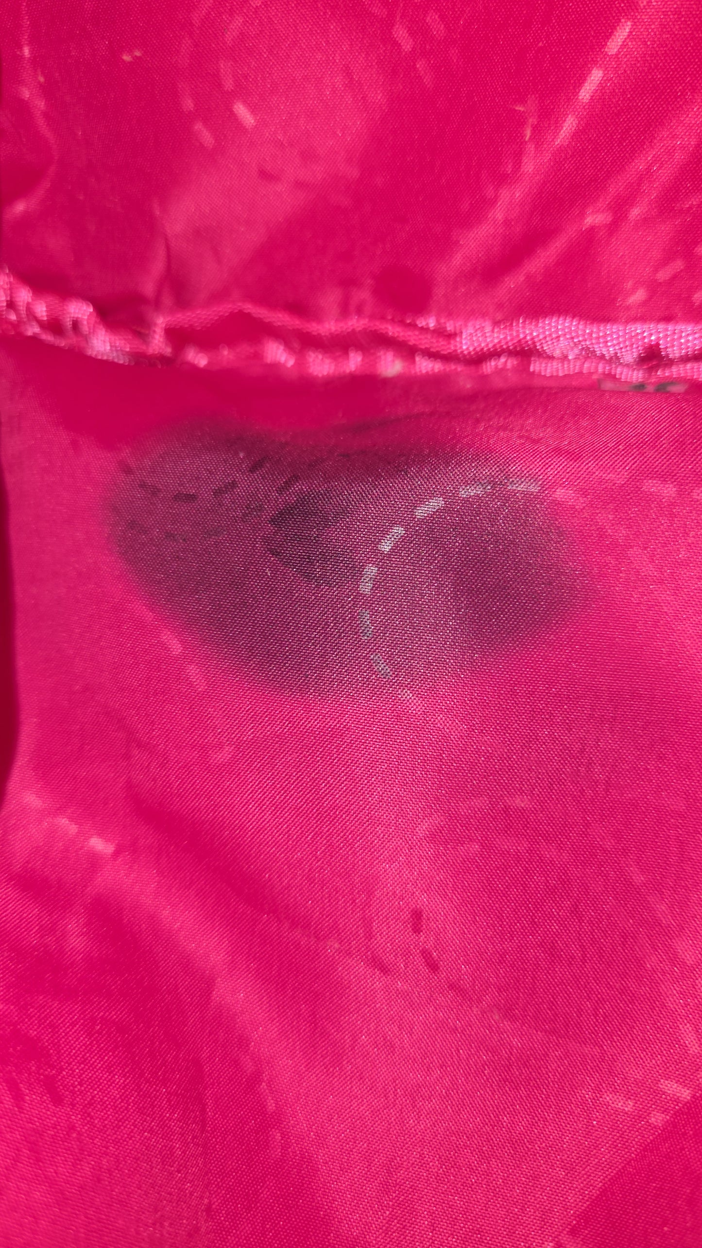 Bird BackPack (Stain)