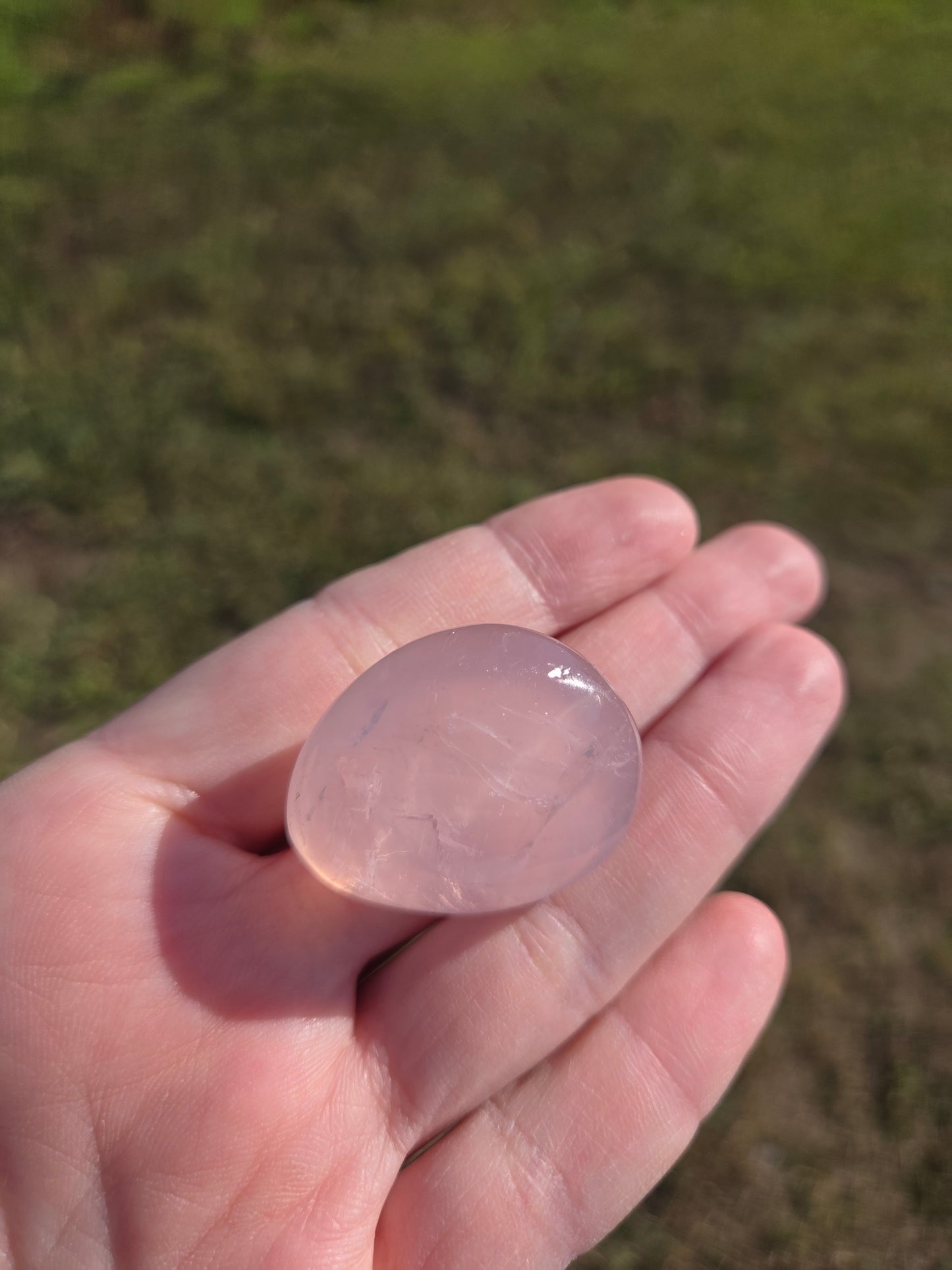Rose Quartz Mini Palm