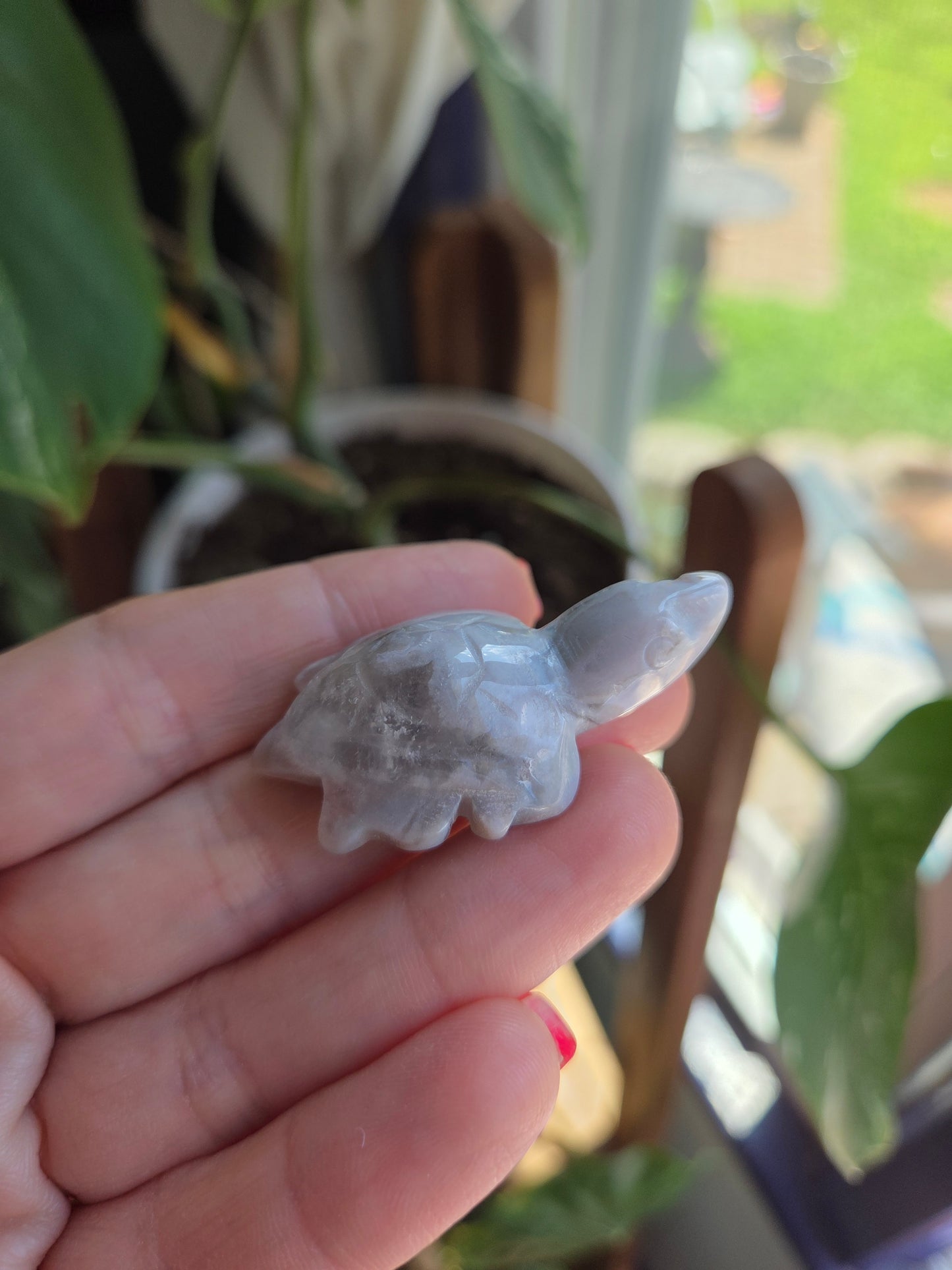 Black Flower Agate Turtle