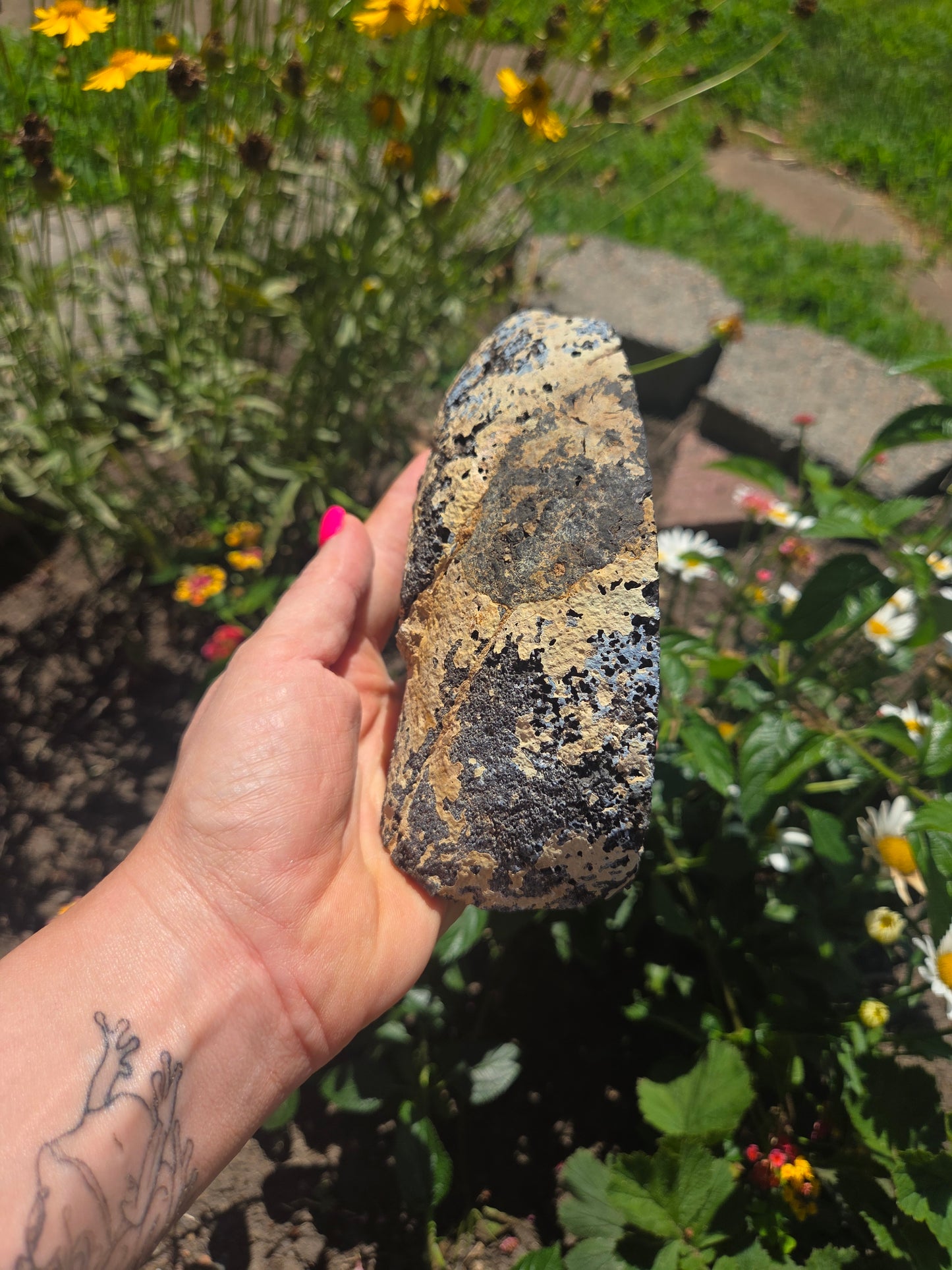 Black Agate Geode with Exposed Rutile