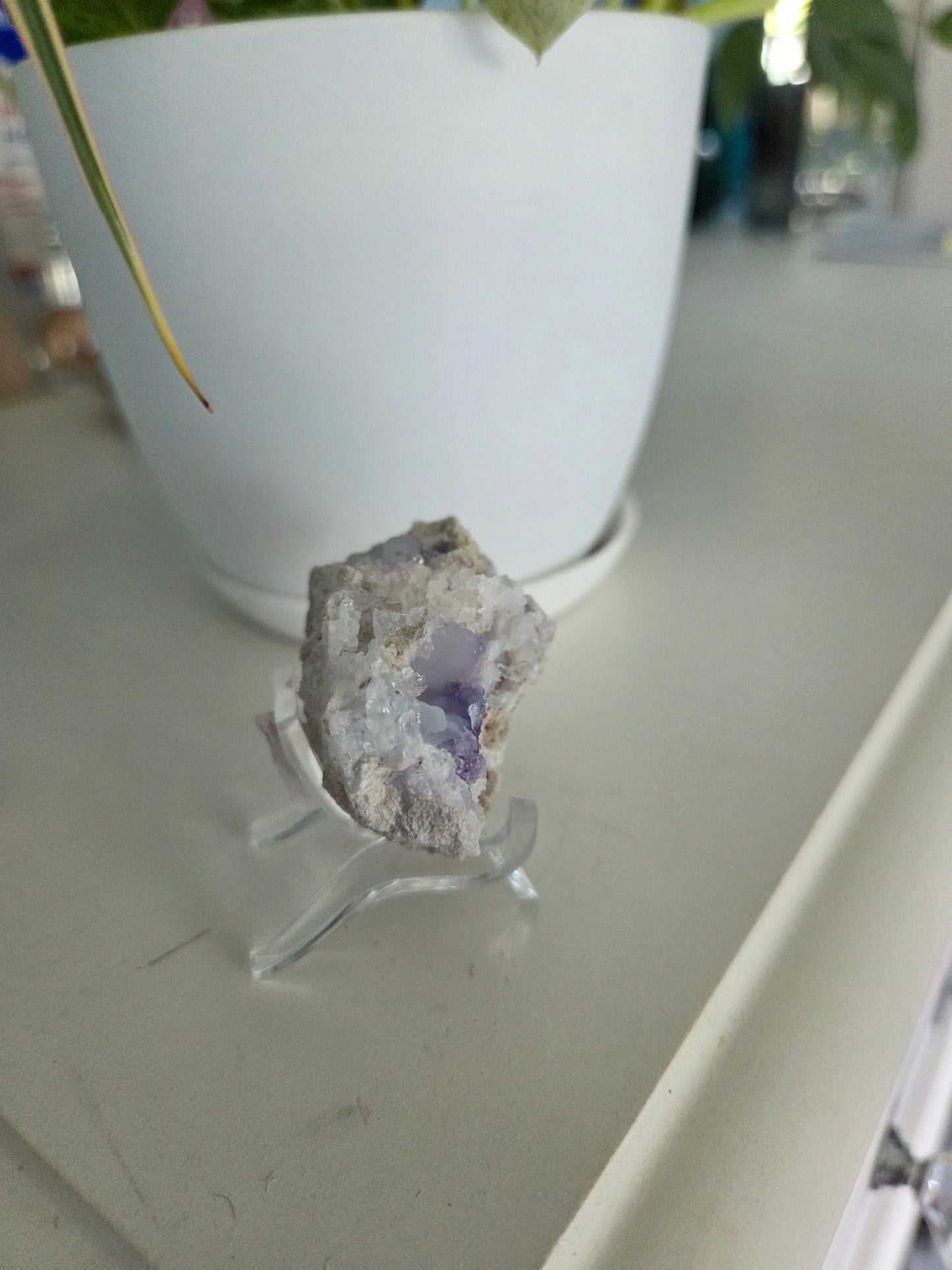 Spirit Flower Quartz Geode (C)