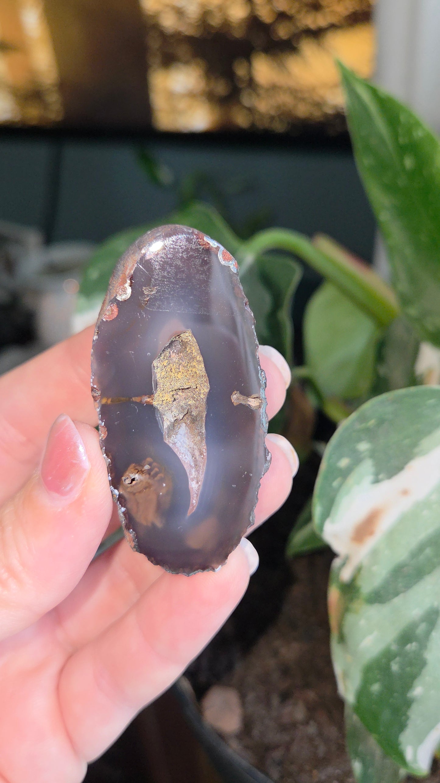 Coyamito Agate Geodes from Mexico