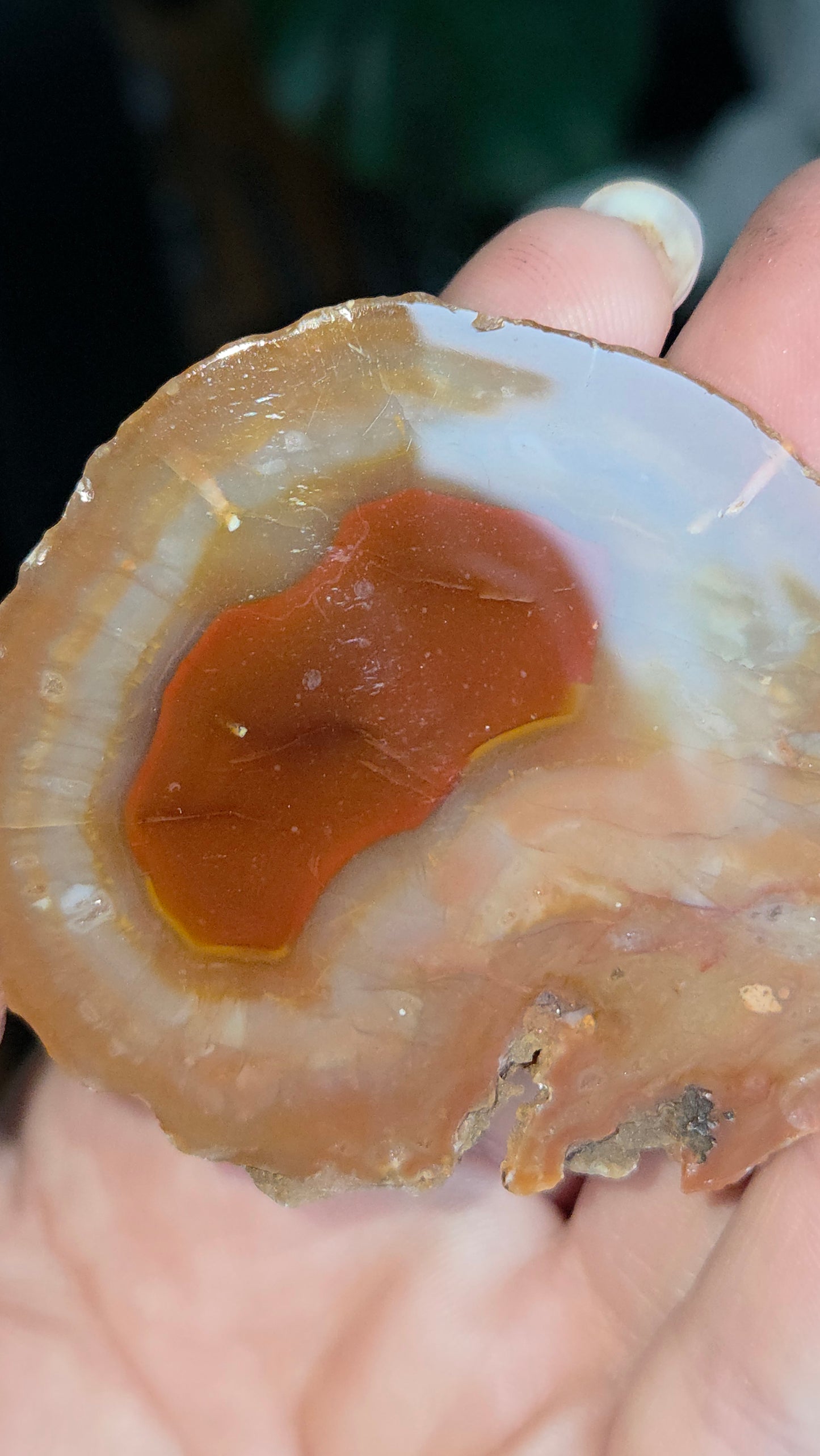 Coyamito Agate Geodes from Mexico