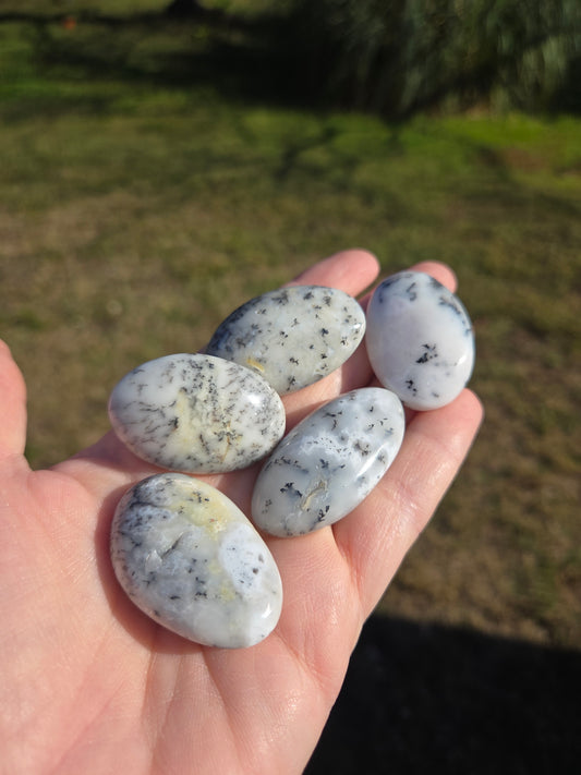 Dendritic Opal Mini Palms
