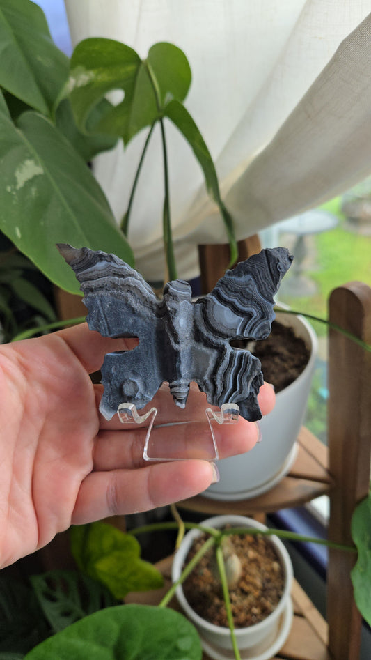 Gobi Agate Butterflies