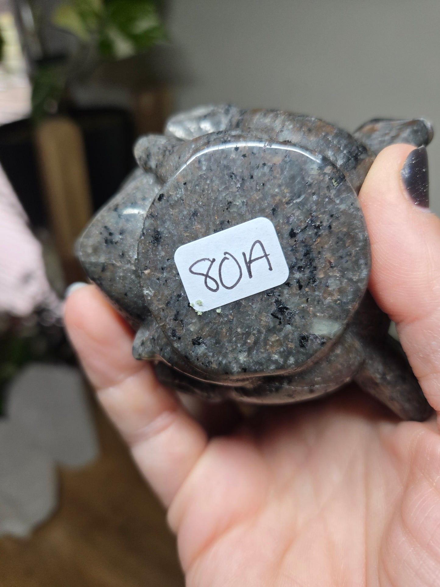 Medusa Head Yooperlite