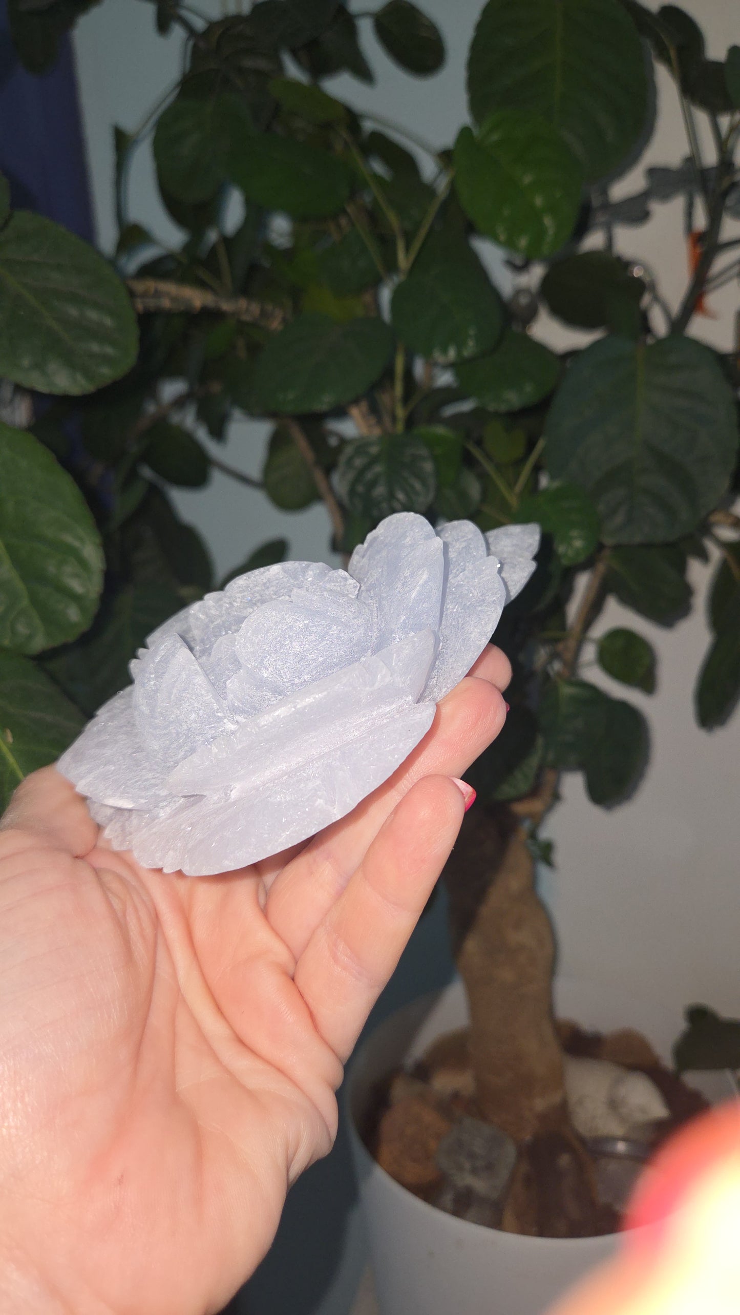 Angelite Peony