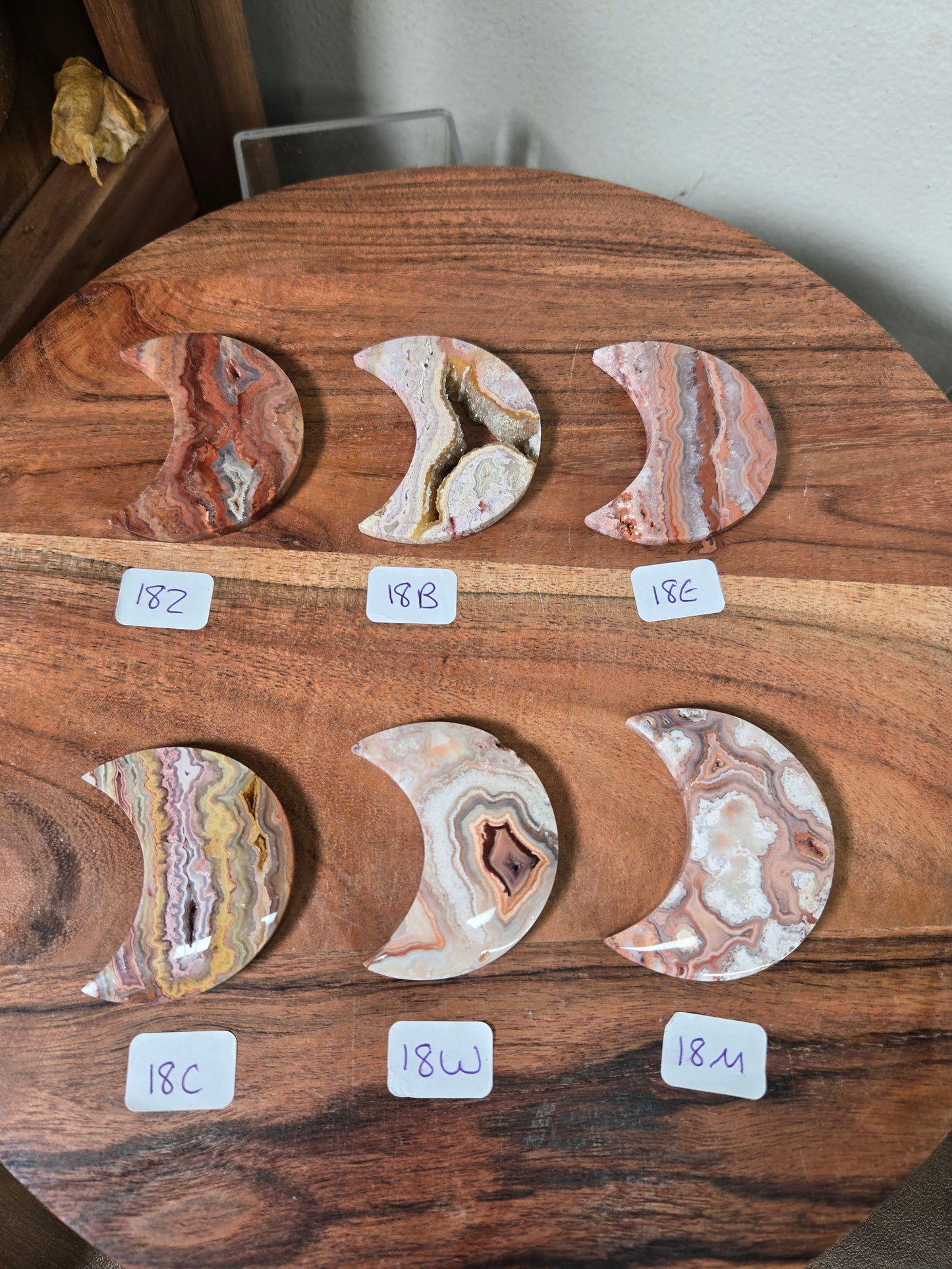 Mexican Crazy Lace Moons