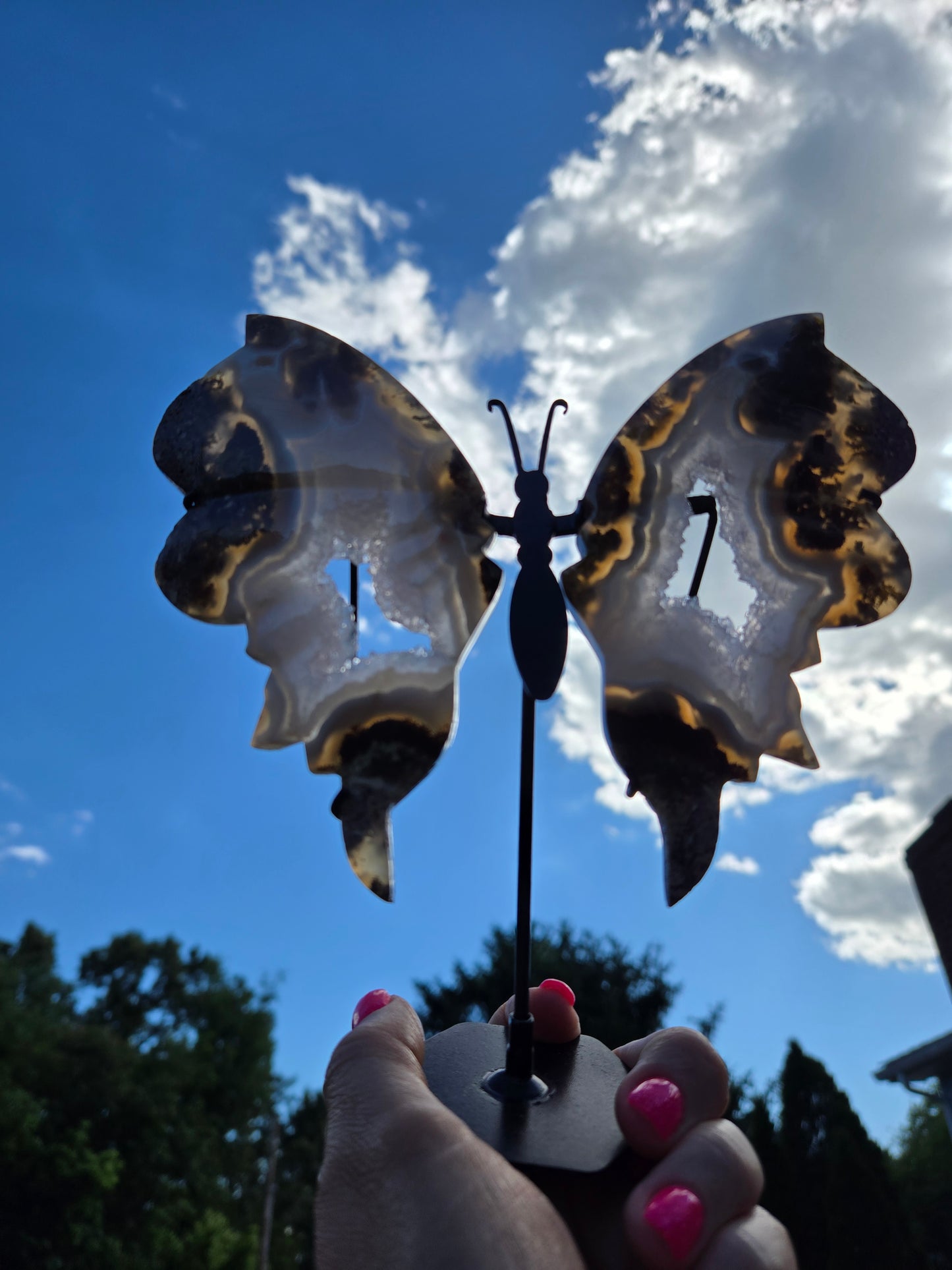 Scenic Moss Butterfly Wings 🦋