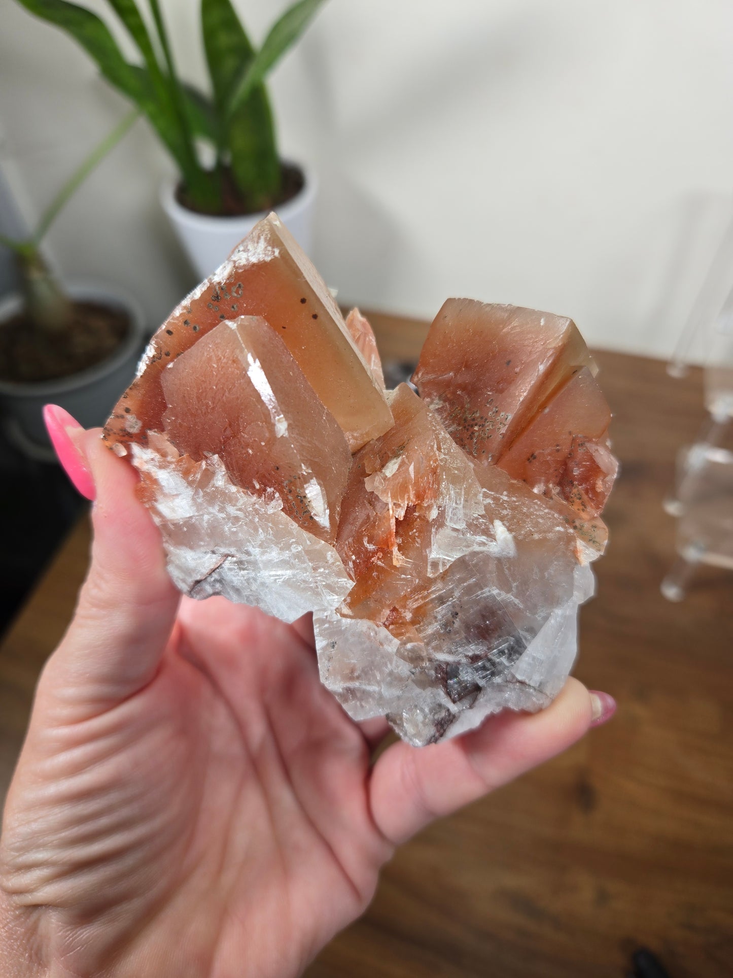 Live sale Jenn-Jenn 2 of 7