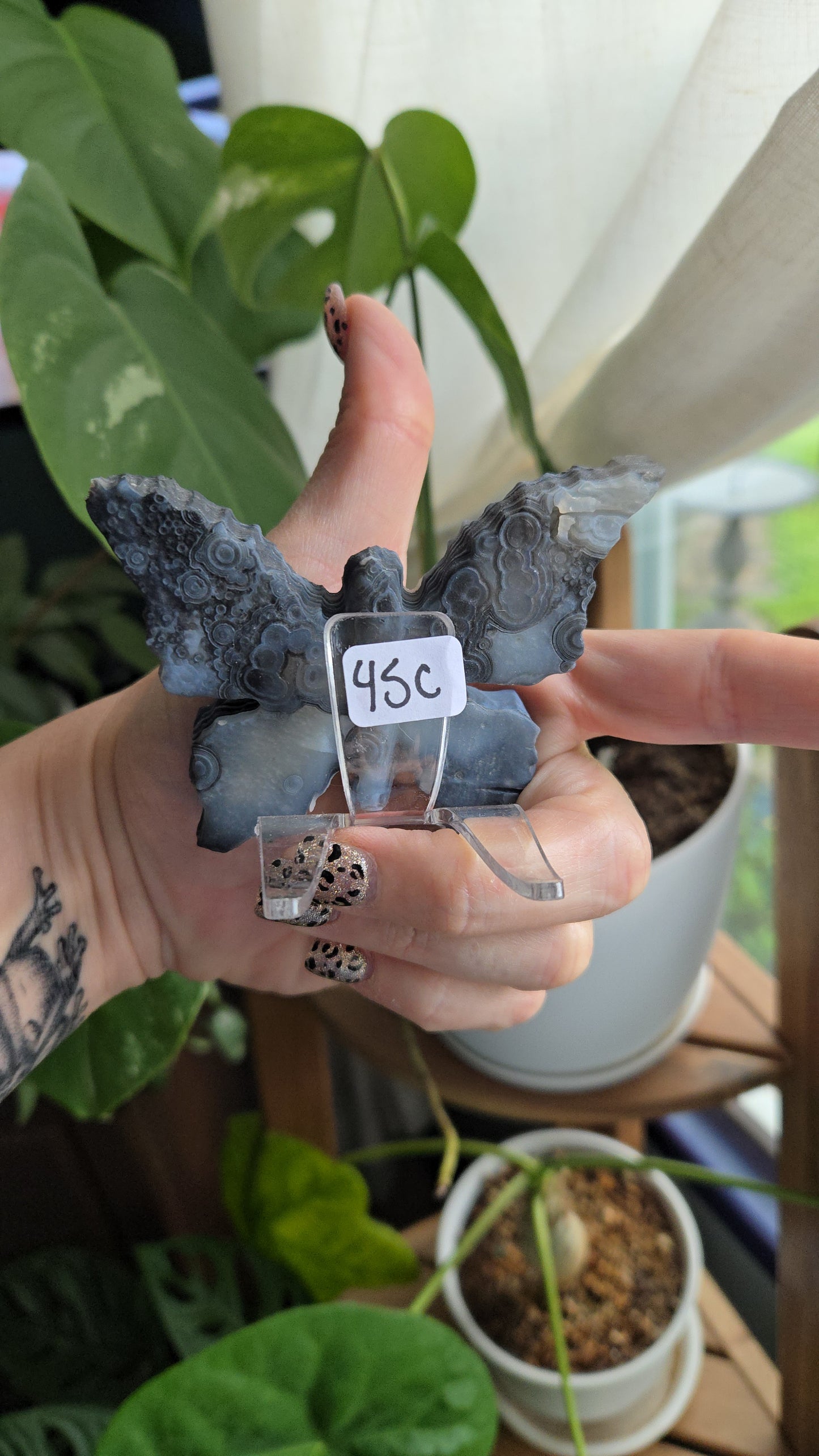 Gobi Agate Butterflies