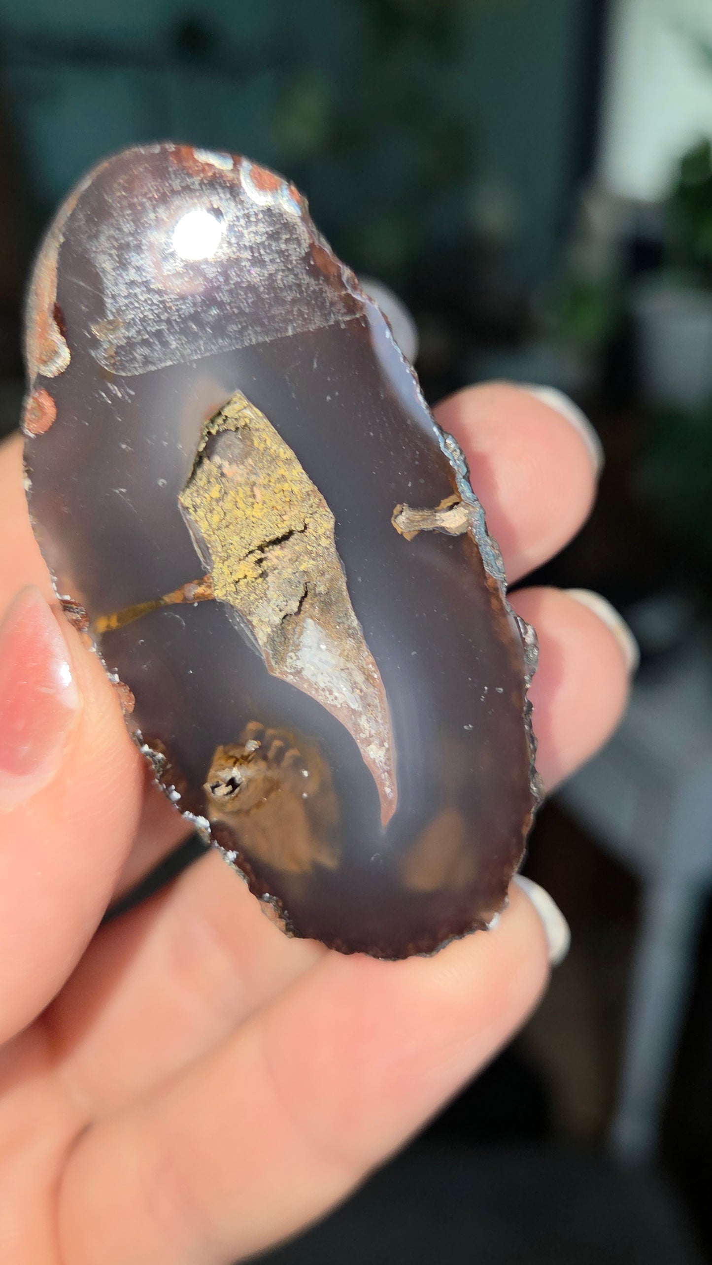 Coyamito Agate Geodes from Mexico