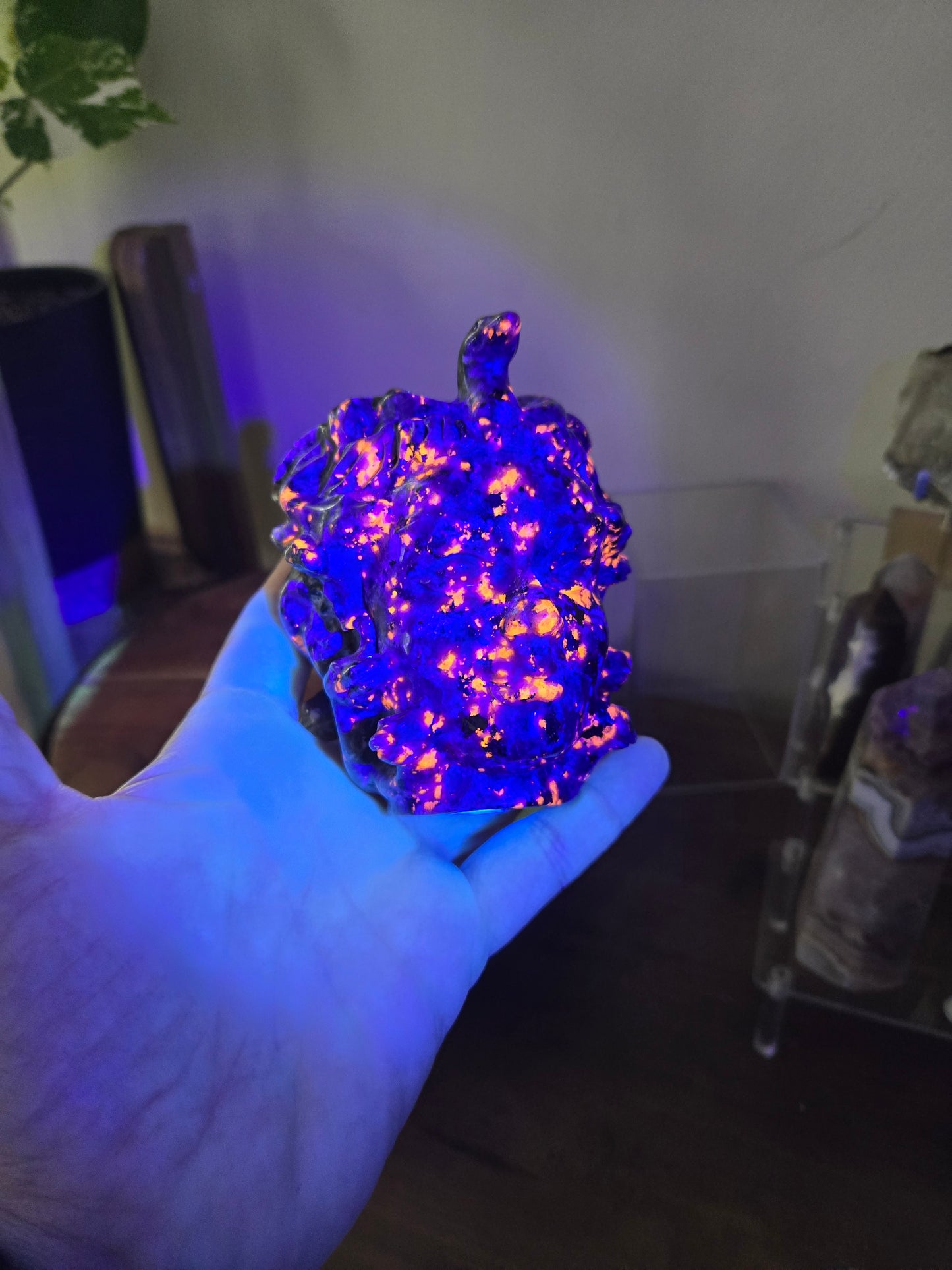 Medusa Head Yooperlite