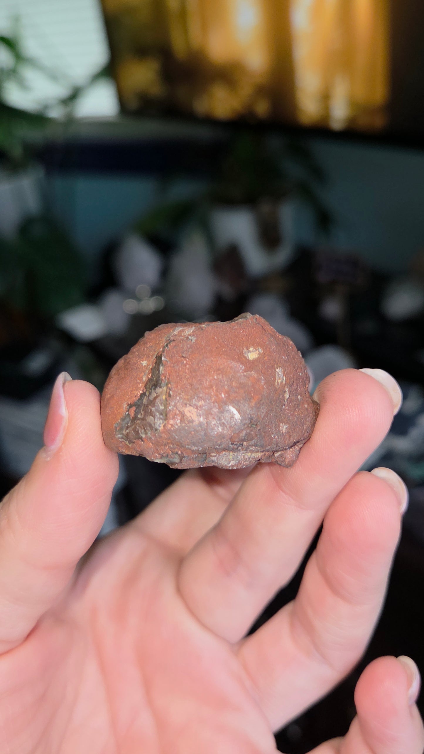 Coyamito Agate Geodes from Mexico