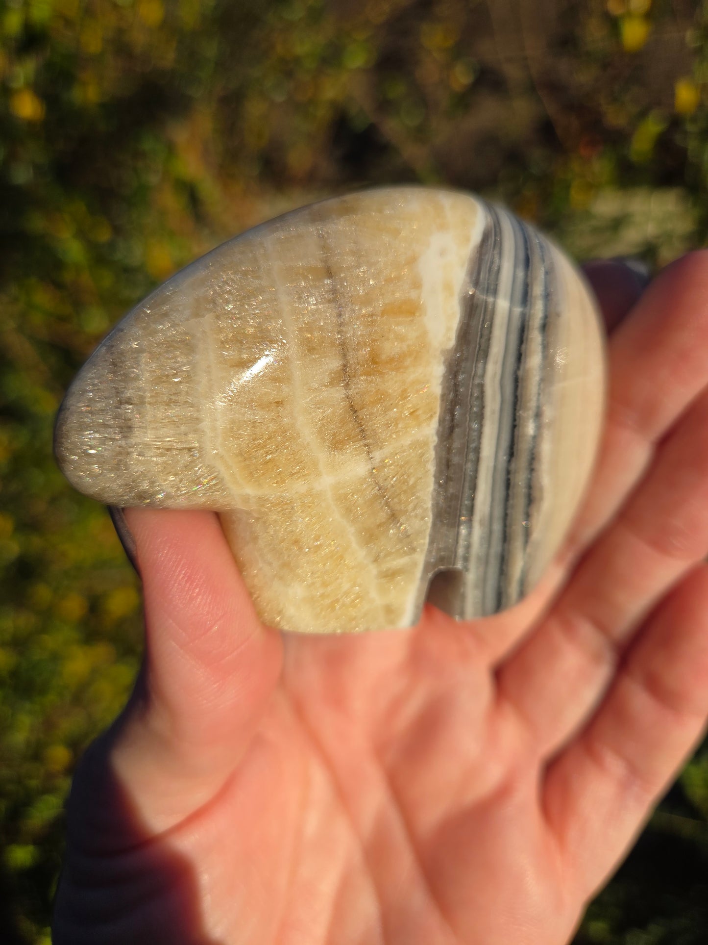 Banded Onyx Zuni Bear