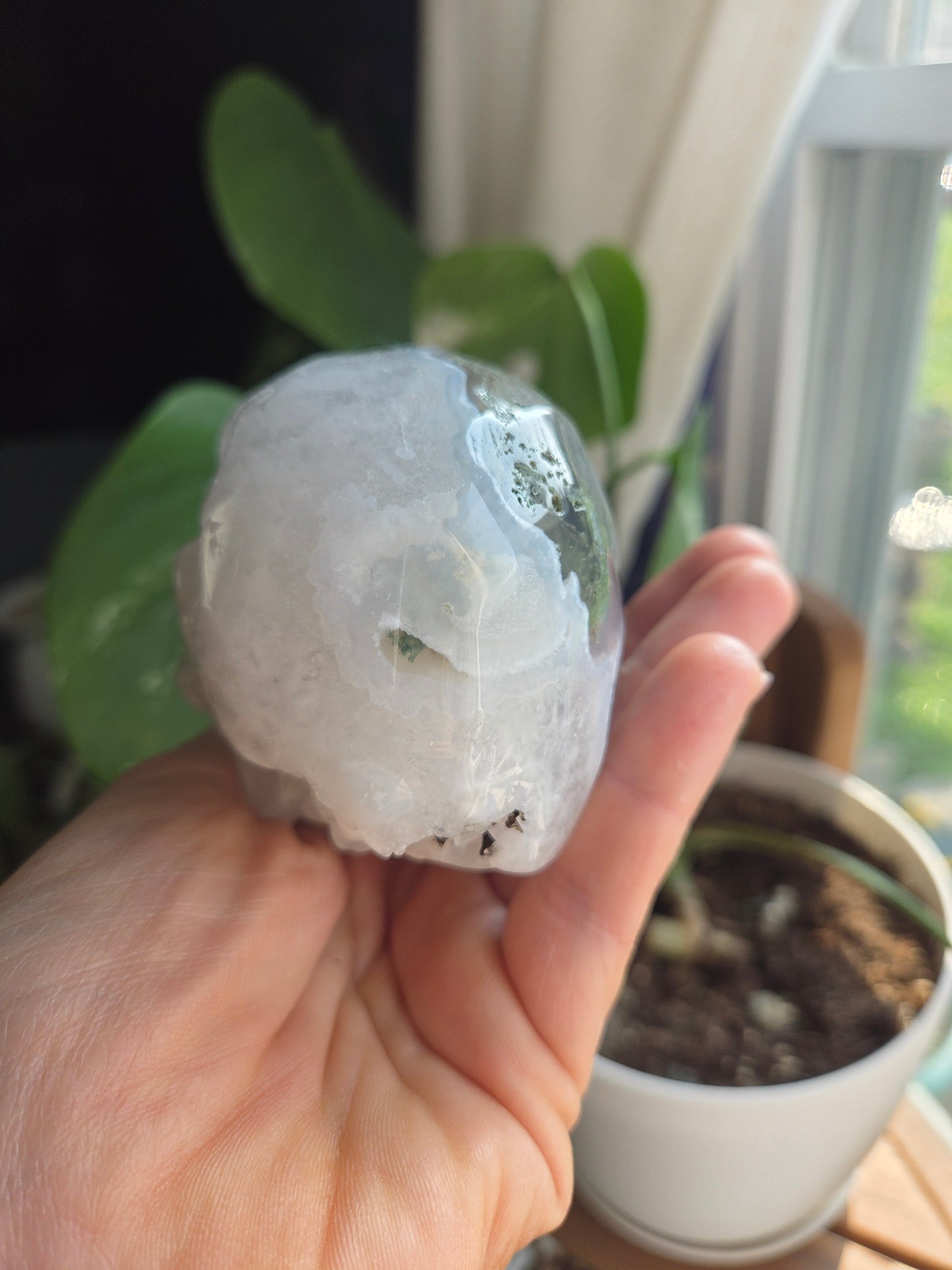 Moss Skull
