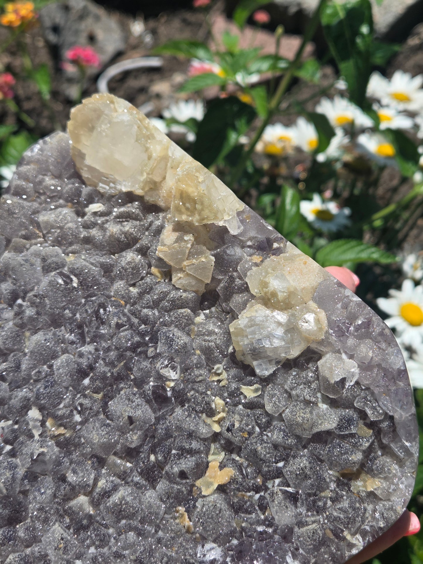 Sugar Amethyst Freeform (self stands)