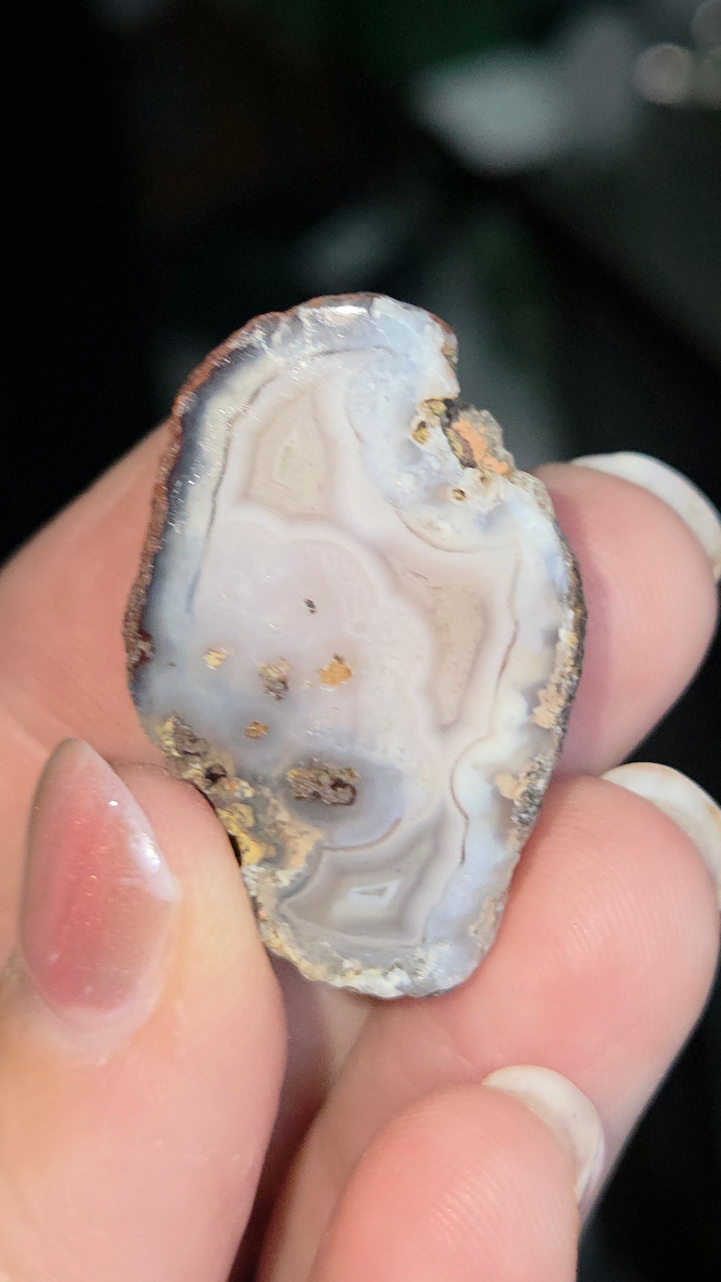 Coyamito Agate Geodes from Mexico