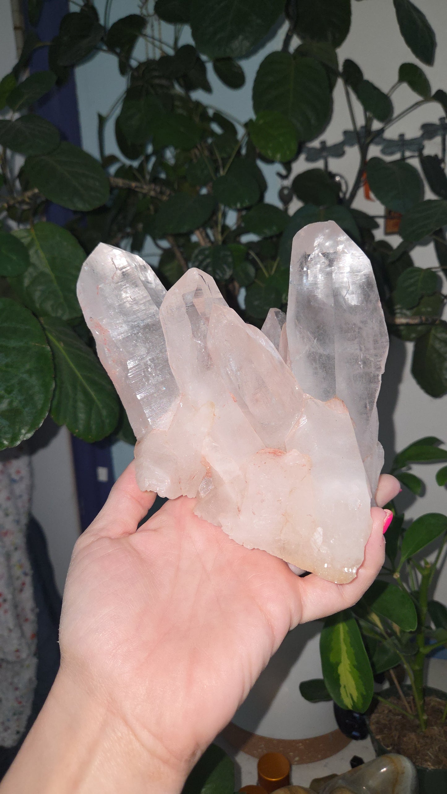 Pink Himalayan Collectors Quartz