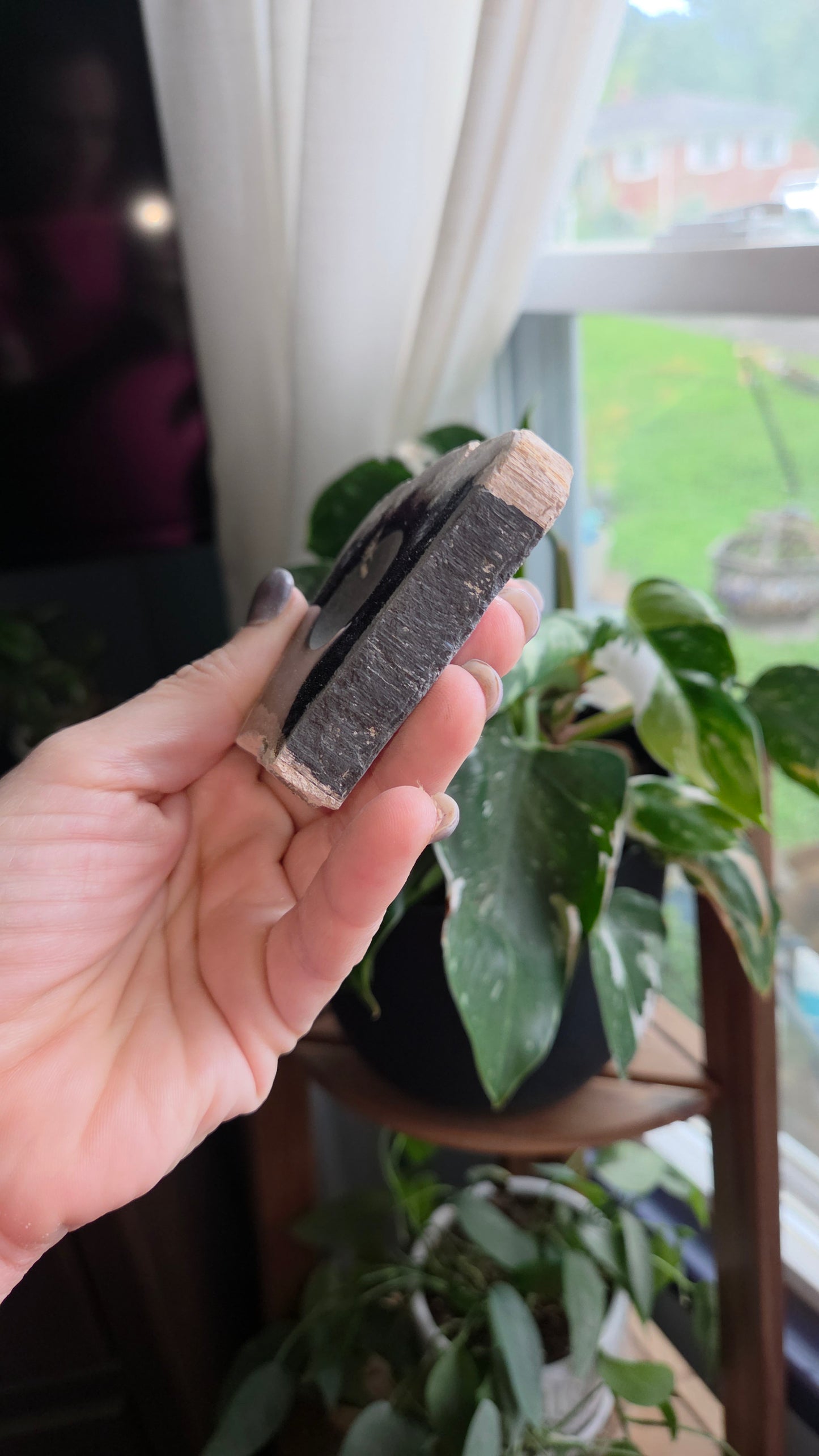 Petrified Wood Sphere Holder (12c)