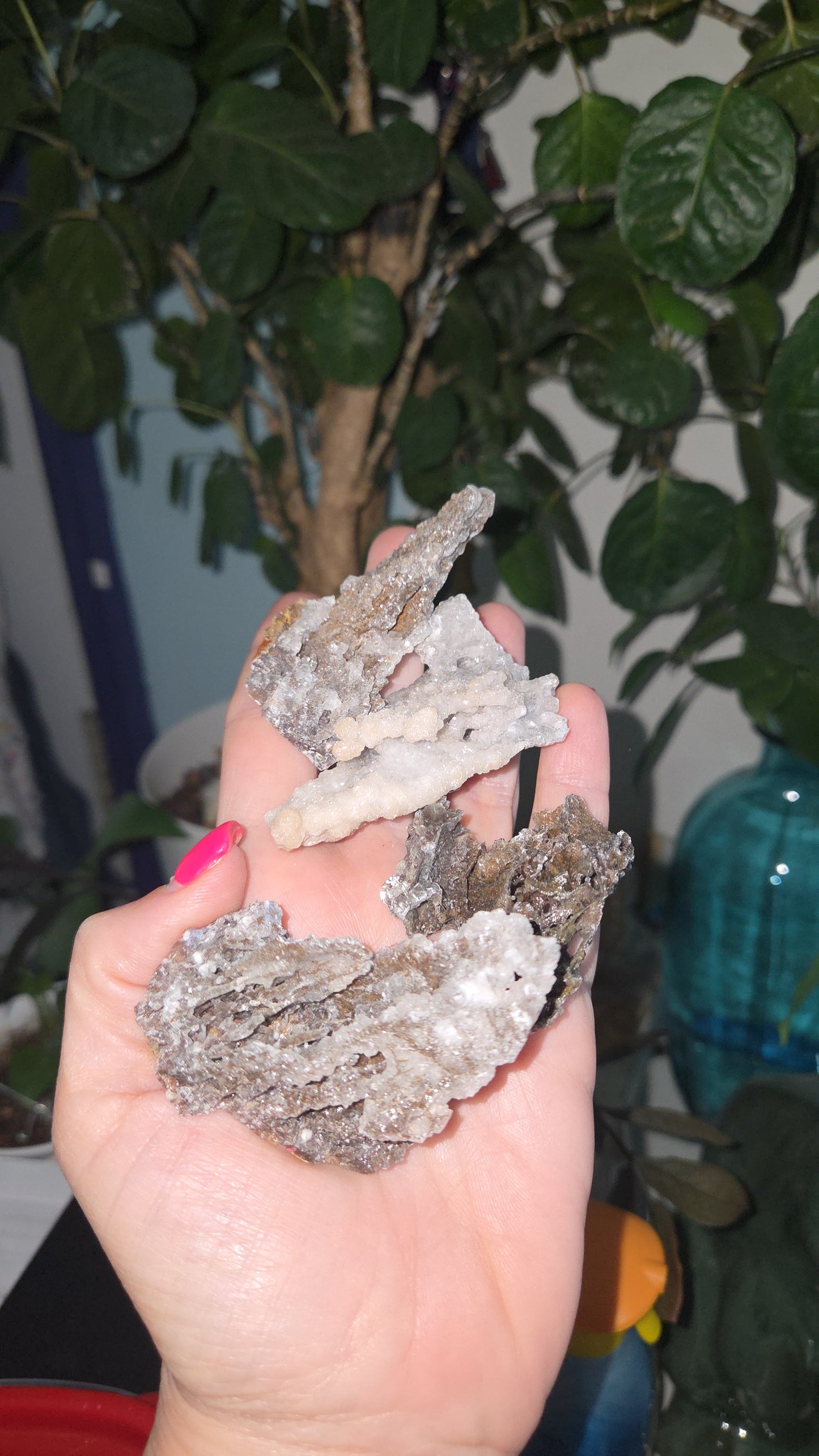 The Blooming Agate