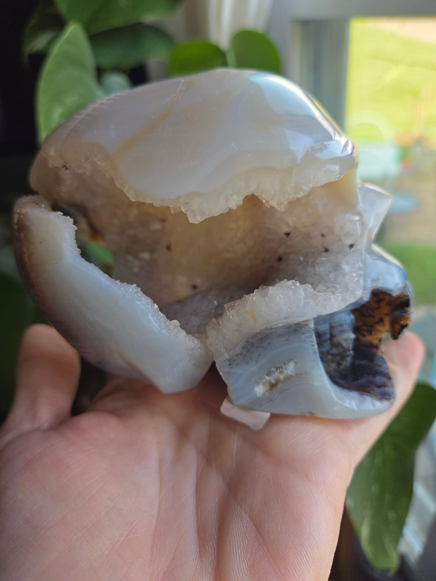 Dendritic Agate Skull