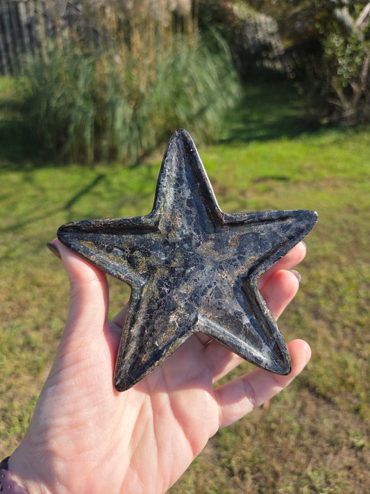 Starfish Bowl