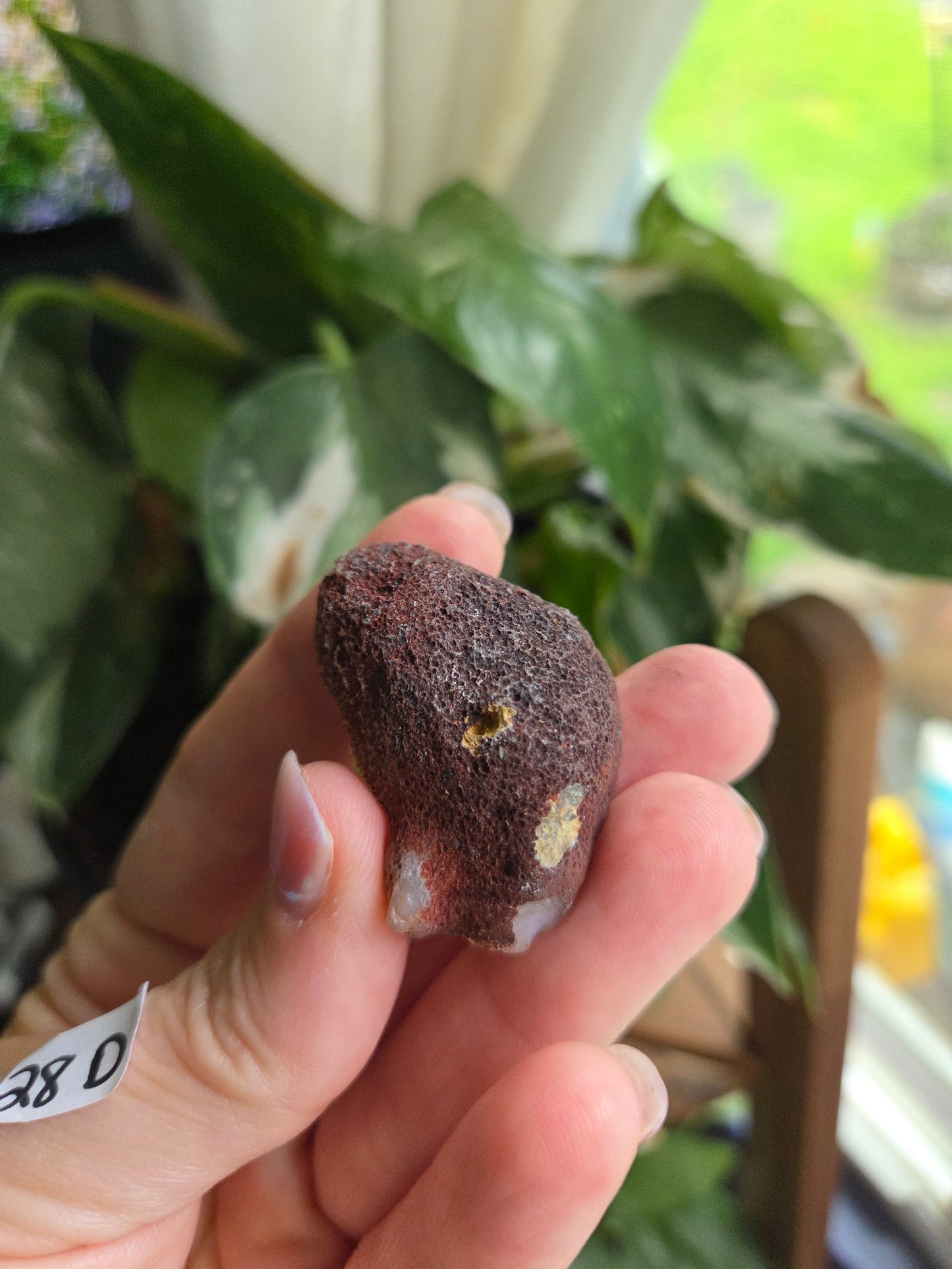 Coyamito Agate Geodes from Mexico