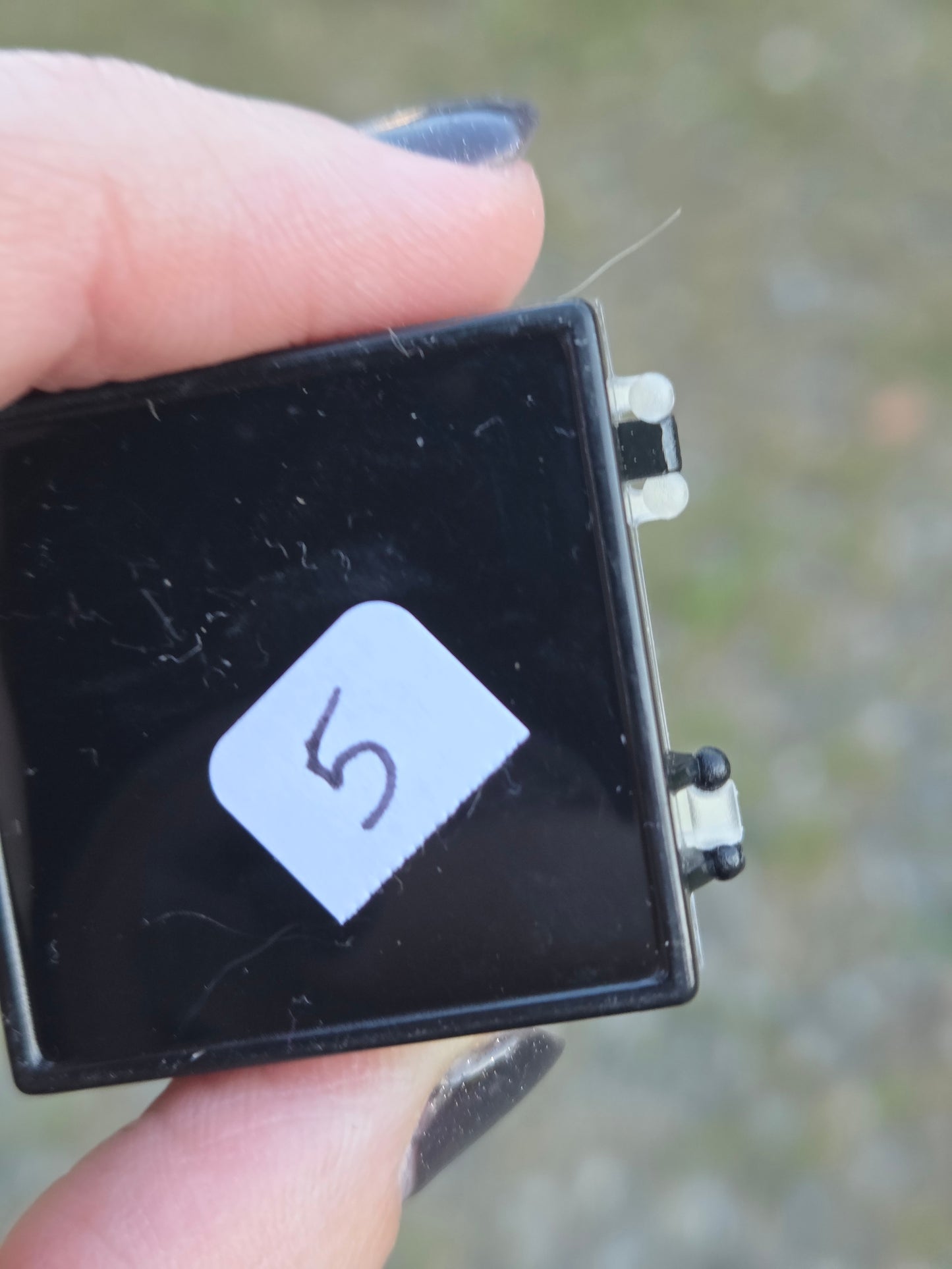 Limonite after Pyrite PerkyBox