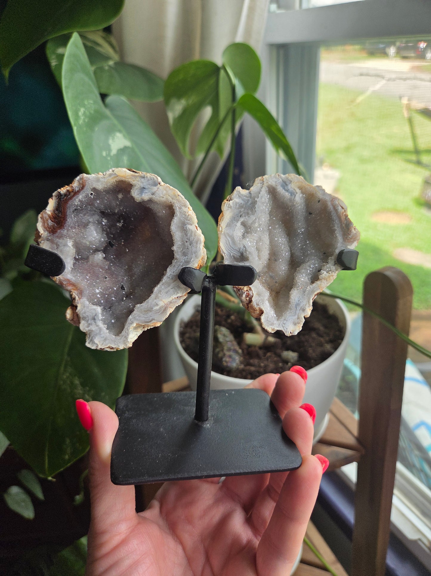 Butterfly Geode