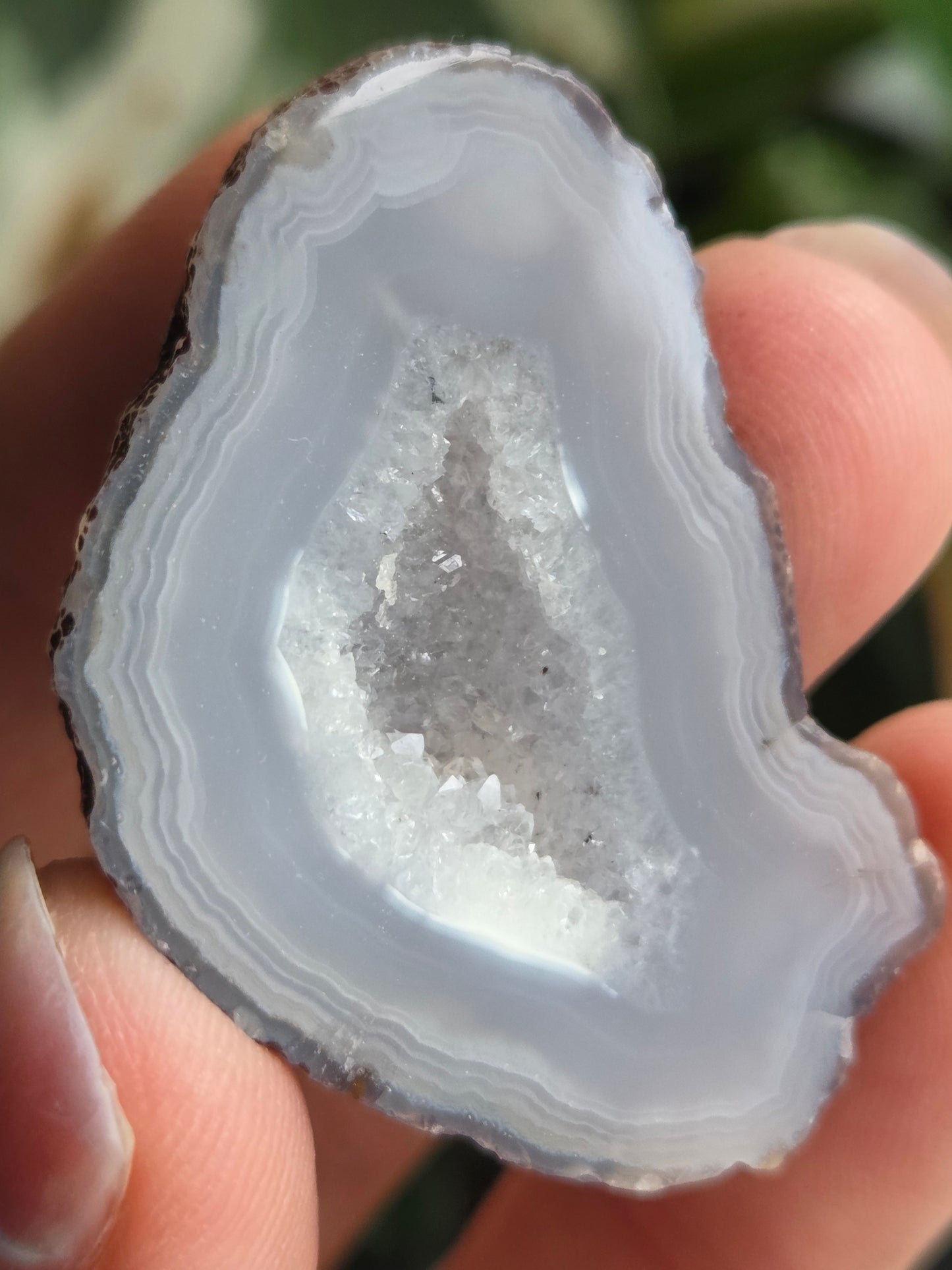 Coyamito Agate Geodes from Mexico