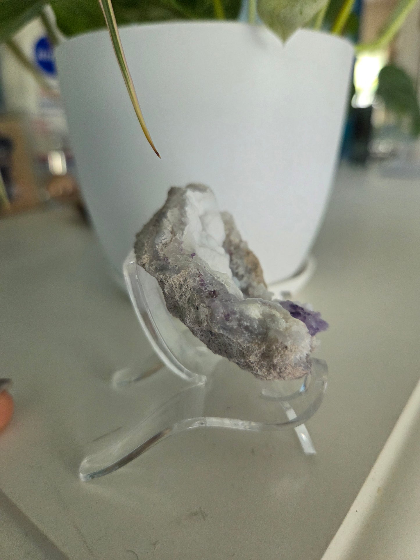 Spirit Flower Quartz Geode