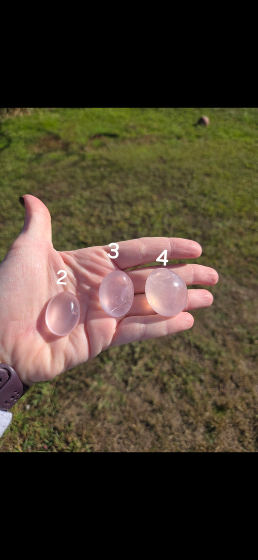 Rose Quartz Mini Palm