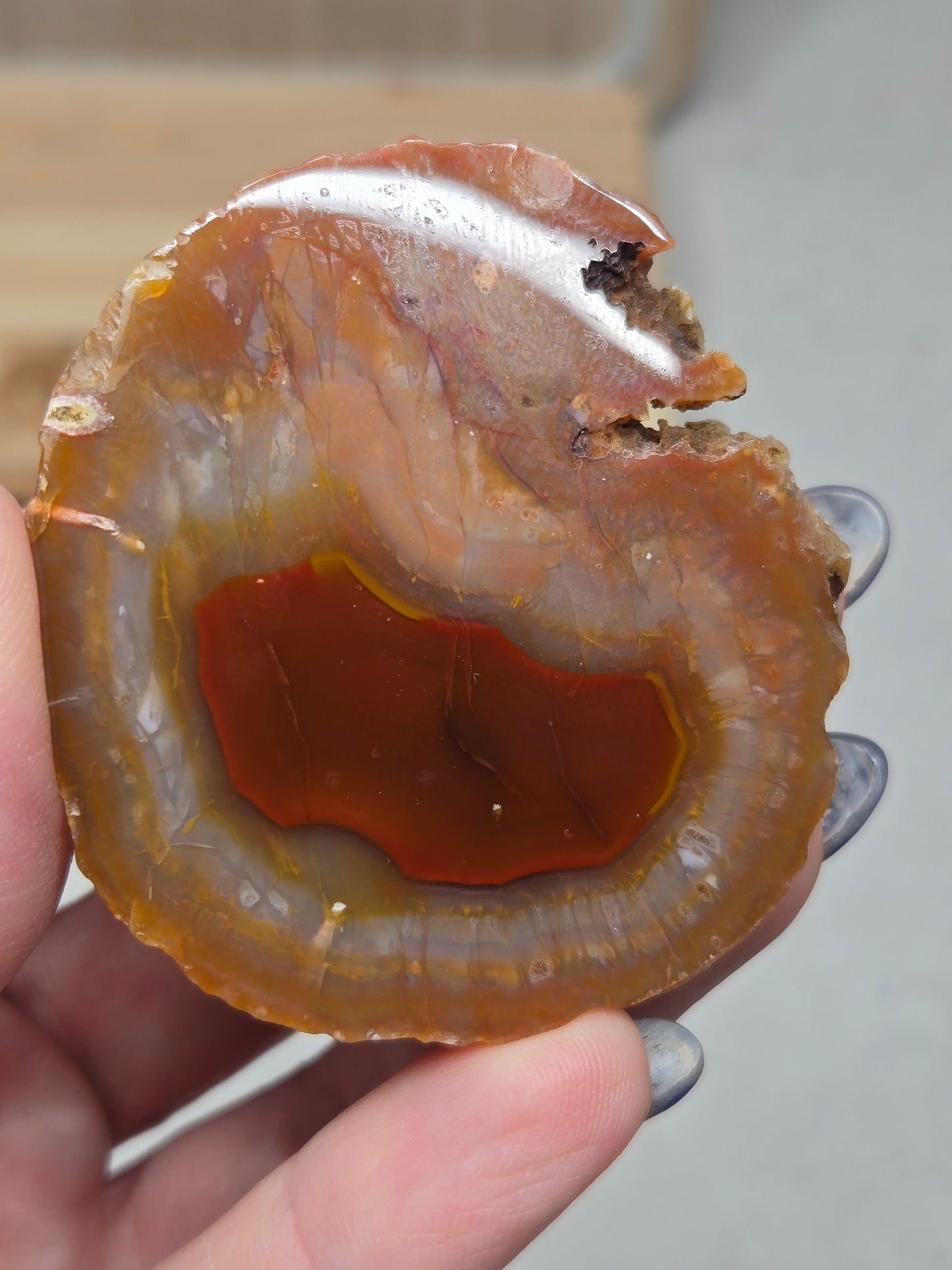Coyamito Agates (Mexico)