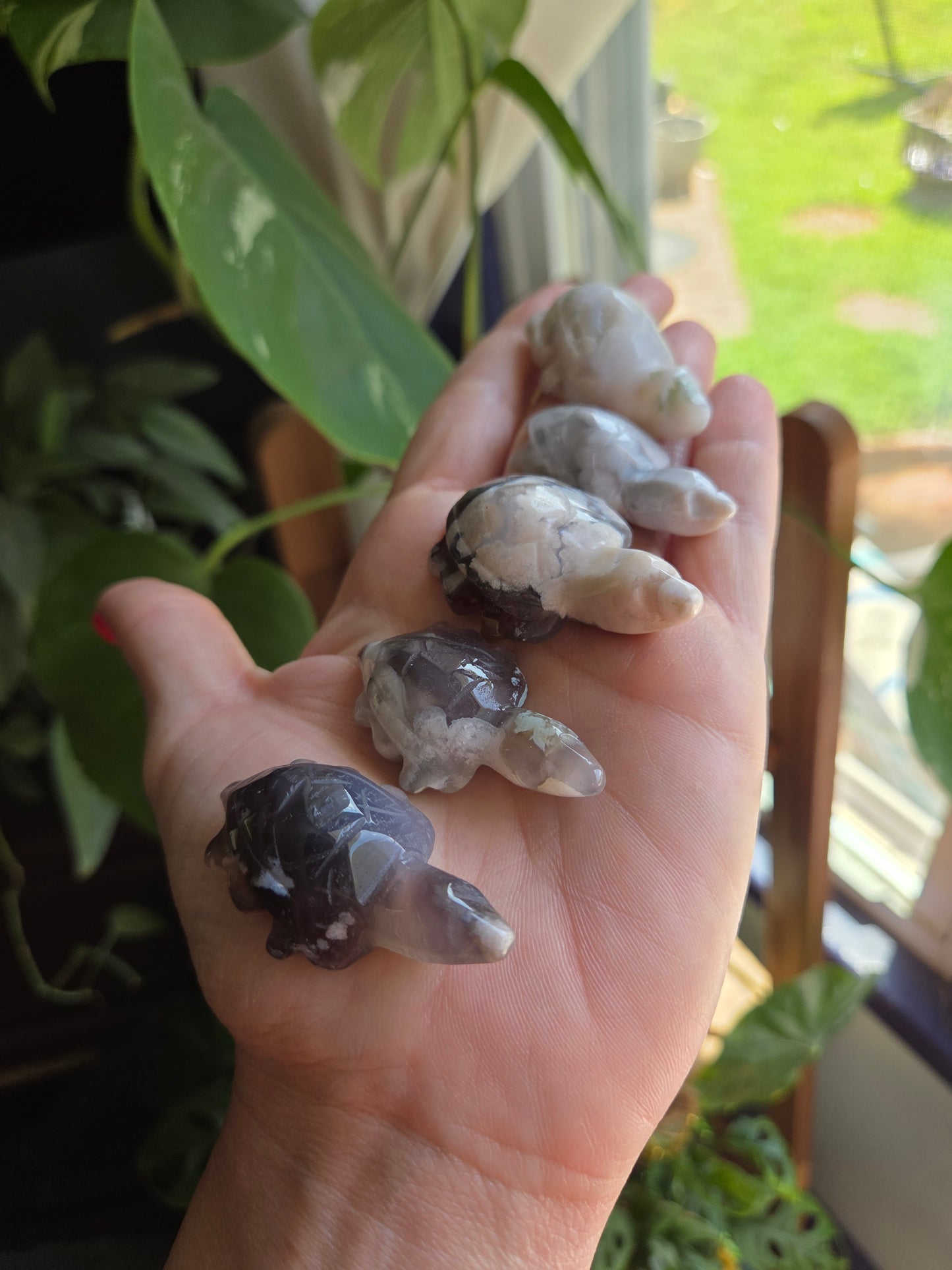 Black Flower Agate Turtle